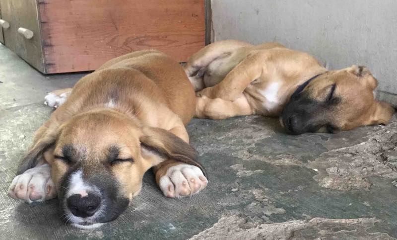 Vos informations personnelles (prénom, adresse e-mail) sont sous bonne protection © VD/MT