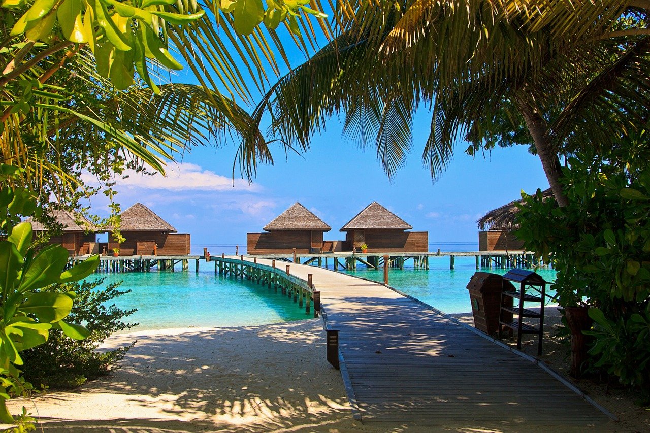 Sur Veligandu Island aux Maldives © SuzyT