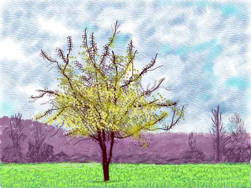 David Hockney, No.88, 3rd March 2020, iPad painting © David Hockney