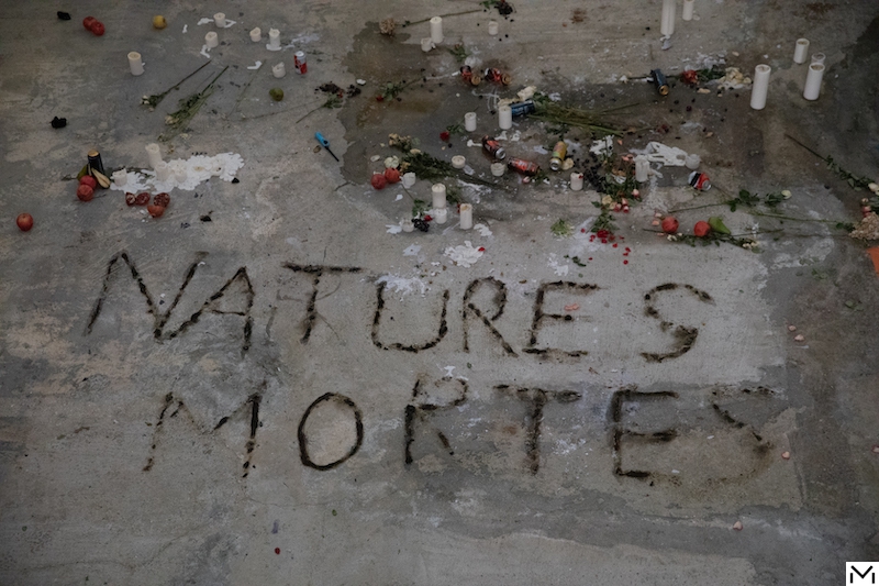 Anne Imhof, Natures Mortes, 2021 Photography : Nadine Fraczkowski Courtesy of the artist and Palais de Tokyo, Paris.