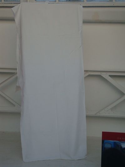 Sous le drap, la photo gagnante du concours du meilleur visuel destiné à servir la campagne de Nathalie Kosciusko-Morizet à Paris - Photo : VD.