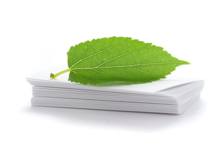 © Olivier Le Moal - Fotolia.com