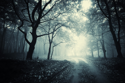 Bois © andreiuc88 - Fotolia.com