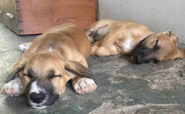 Politique de confidentialité