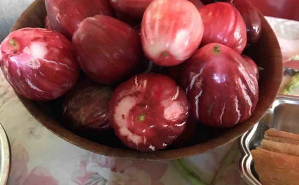 Les conditions générales de service et d'utilisation du site www.maohitribune.com