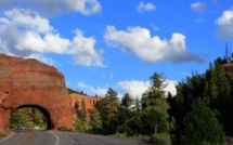 Election présidentielle aux Etats-Unis : les résultats comparés par Etat entre 2012 et 2016