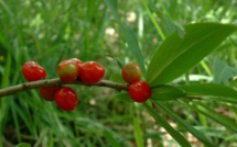 L'éphéméride du vendredi 27 janvier 2017