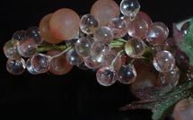 Entrée en vigueur de la nouvelle OCM vitivinicole