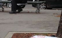 Seul contre le décret 2006-1386 du 15 nov. 2006