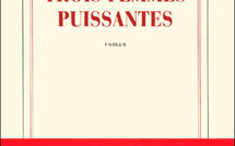 Marie NDiaye : Prix Goncourt 2009