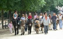 Le charme intemporel des « petits métiers » du Luxembourg