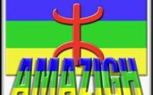 Les Kabyles et les Berbères ne sont pas des Arabes