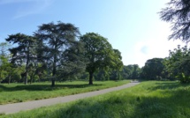 Un corps démembré découvert dans le Bois de Boulogne