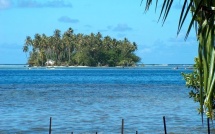 La leçon de natation