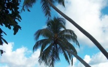 L'énigme de la Pythie