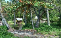 Les langues étrangères