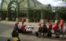 L'association Accomplir contre l'exécution du Jardin des Halles