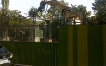 Halles : le tribunal administratif n'examinera pas l'avenant Mangin