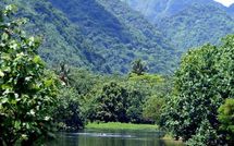 L'homme au sourire en tranche de pastèque - épisode 3 