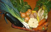 6 octobre 2010 : Soirée d'accueil des créateurs d'AMAP