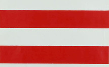 25 novembre 2010 - 8 janvier 2011 : Michel Parmentier, Peintures 1961-1968