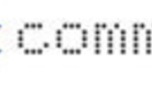 9 décembre 2010 : Nocturne des commerçants de la rue Commines