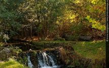 Rave party dispersée dans le Bois de Vincennes