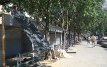 La propriété intellectuelle de la Foire Saint Germain