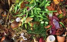 Une piqûre de rappel : "Déchets et recyclage"