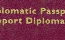 Alexandre Benalla consulté de façon informelle sur les Gilets Jaunes par Emmanuel Macron