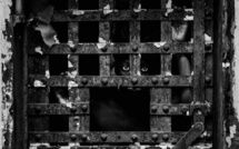 Amnesty International France fête le 70e anniversaire de la Déclaration universelle des droits de l'homme