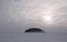 Contaminations, documenting pollution of world-wide natural resources