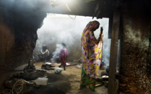 Wilting Point, la rétro de William Daniels