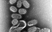 Grippe : la téléconsultation en plein boom comme l'épidémie