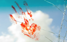 Toxicomane cambrioleur rue de Rennes