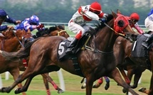 Vols de paris sportifs : plaintes des débitants de tabac