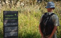 Jusqu'au 2 octobre 2011 : Réalisation d'une sculpture polynésienne