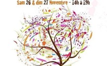 25 - 27 novembre 2011 : Portes Ouvertes à l'Art du 16e SEIZIEM’ART