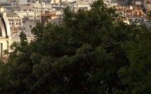 La Mairie de Paris fait la chasse aux locaux insalubres