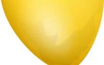 Vol, pillage et le vandalisme sur l'avenue des Champs-Elysées : Paris caricaturée 