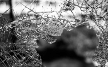 Football en Coupe d'Afrique des nations : la victoire de l'Algérie ne dégénère pas dans le Grand Paris