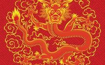 Solidarité, générosité et découverte dans les mairies d'arrondissement