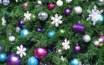 Janvier 2012 : la presse d'information déjà endeuillée