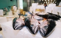 Marchandises de Rungis détournées