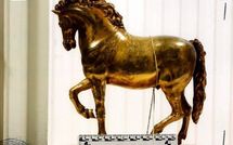 Un propriétaire ravi, son cheval est retrouvé 