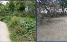 La CGT ASPS donne l'alerte sur la police municipale à Paris