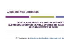 4 juin 2012 : Colloque pour interdire les antennes relais dans un rayon de 100 mètres autour des crèches