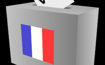 Organiser de nouvelles élections générales dans le respect des Institutions et de la vision du Général de Gaulle