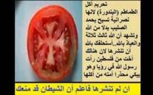 Bertrand Delanoë condamne la destruction de lieux saints musulmans par des intégristes musulmans