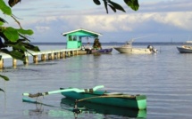 Chien et chat et Nini la Souris polynésienne